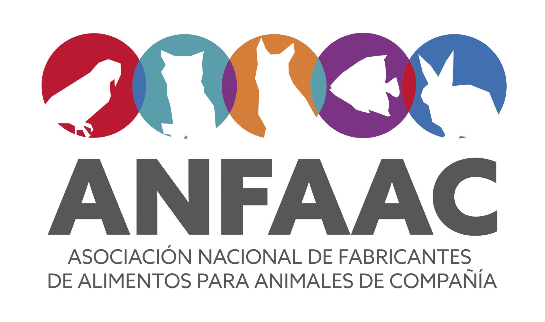 Anfaac